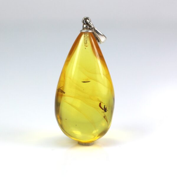 Gintarinis pakabukas su inkliuzu