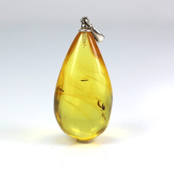 Gintarinis pakabukas su inkliuzu