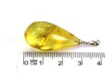 Amber pendant with small FLY insect inclusion - Image 5