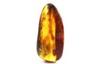 Big Baltic amber stone with spider and stalactite inclusions - Image 9