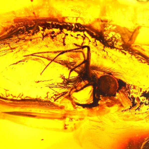 Didelis gintaro gabalas