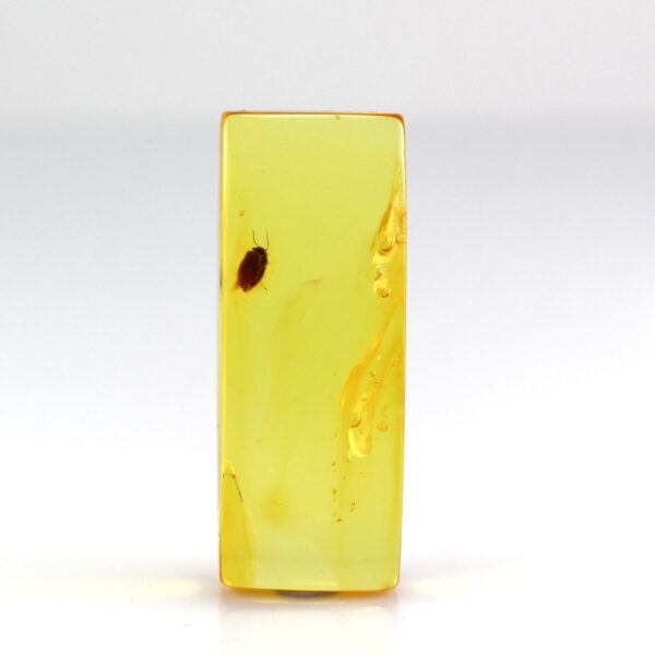 Gintaro gabaliukas su inkliuzu