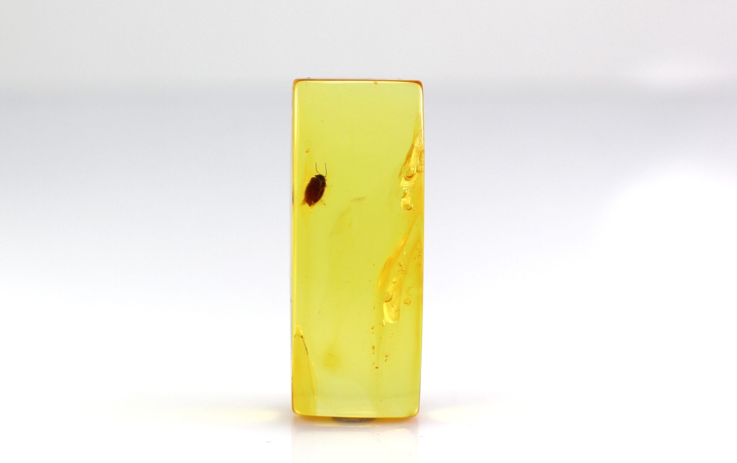 IMG_0748 Gintaro gabaliukas su inkliuzu