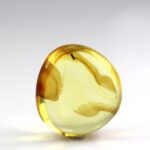 Gintaras su inkliuzu