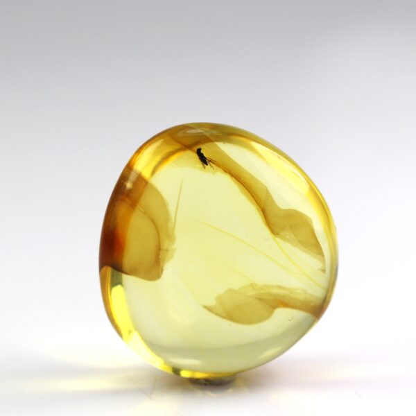 Gintaras su inkliuzu