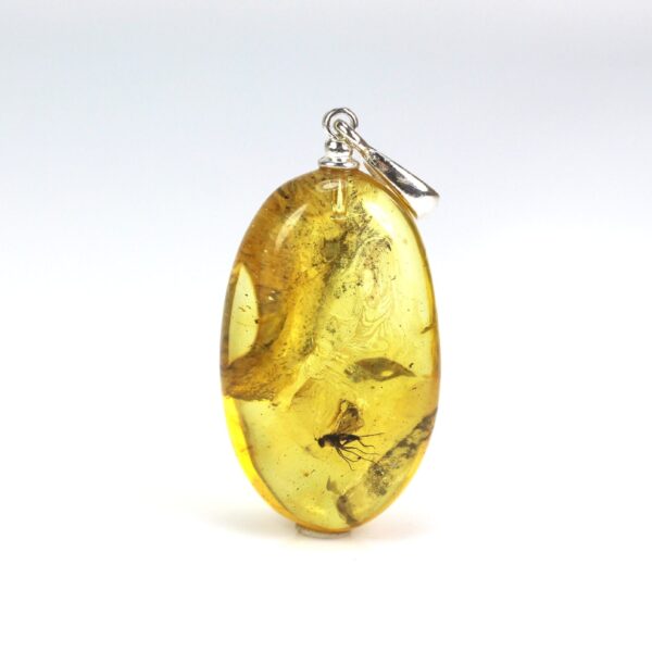 Gintarinis pakabukas su inkliuzu