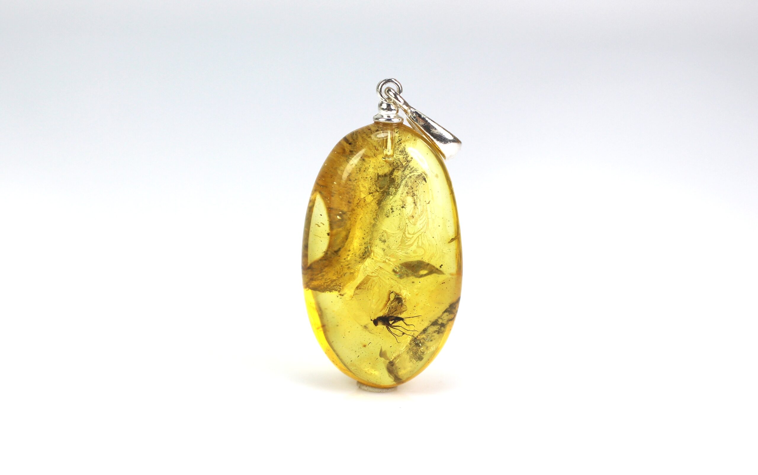 IMG_0945 Gintarinis pakabukas su inkliuzu