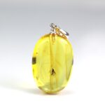 Gintarinis pakabukas su inkliuzu