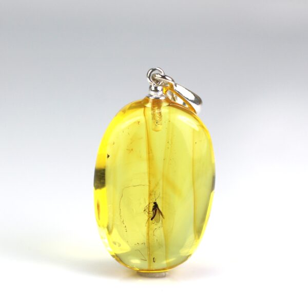 Gintarinis pakabukas su inkliuzu