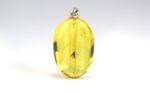 Amber pendant with small MOSQUITO insect inclusion - Image 4