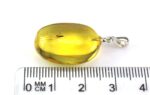 Amber pendant with small MOSQUITO insect inclusion - Image 6