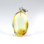 Gintarinis pakabukas su inkliuzu