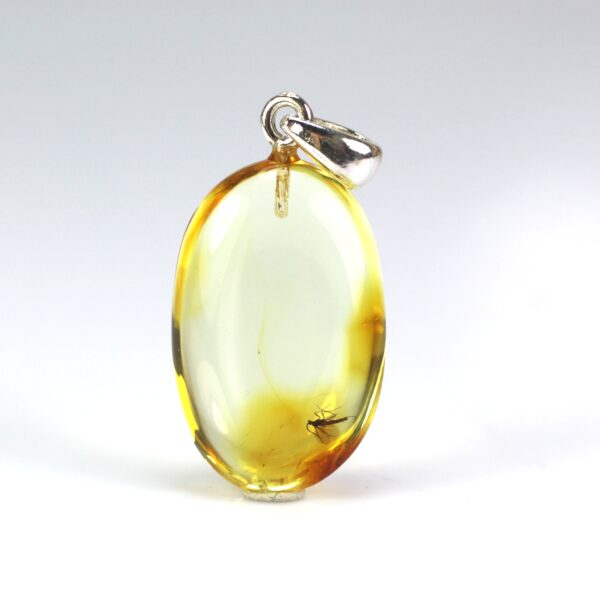 Gintarinis pakabukas su inkliuzu