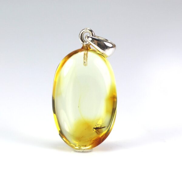 Gintarinis pakabukas su inkliuzu