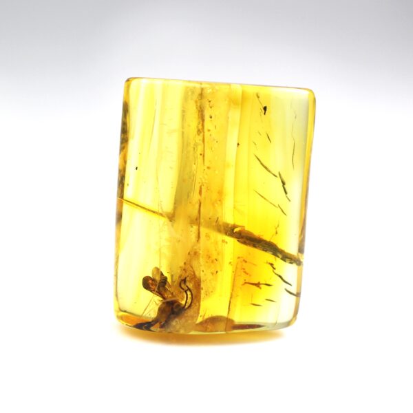 Gintaro gabaliukas su VAPSVOS inkliuzu