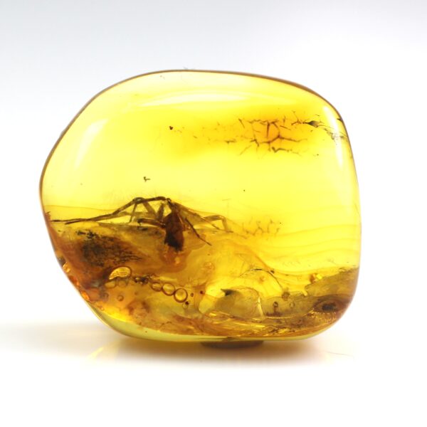 Gintaro gabaliukas su didelio voro inkliuzu