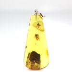 Gintarinis pakabukas su uodo ir musės inkliuzu