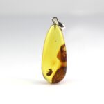 Gintarinis pakabukas su vabalo spragšio inkliuzu