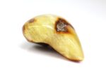 Big Baltic amber stone - Image 5