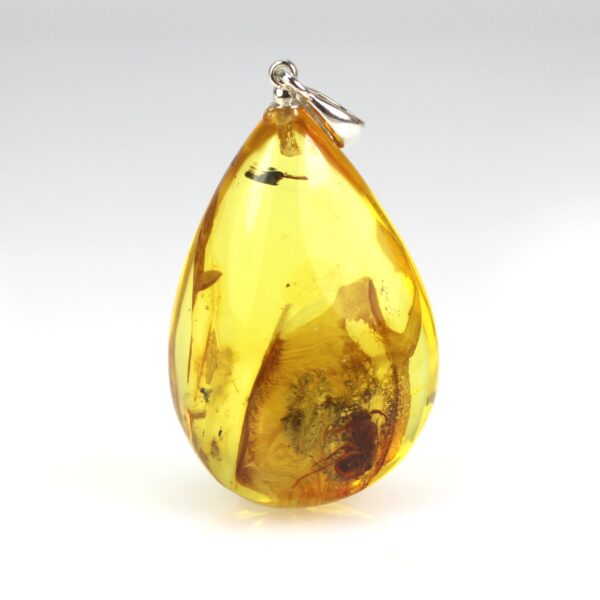 Gintarinis pakabukas su inkliuzu