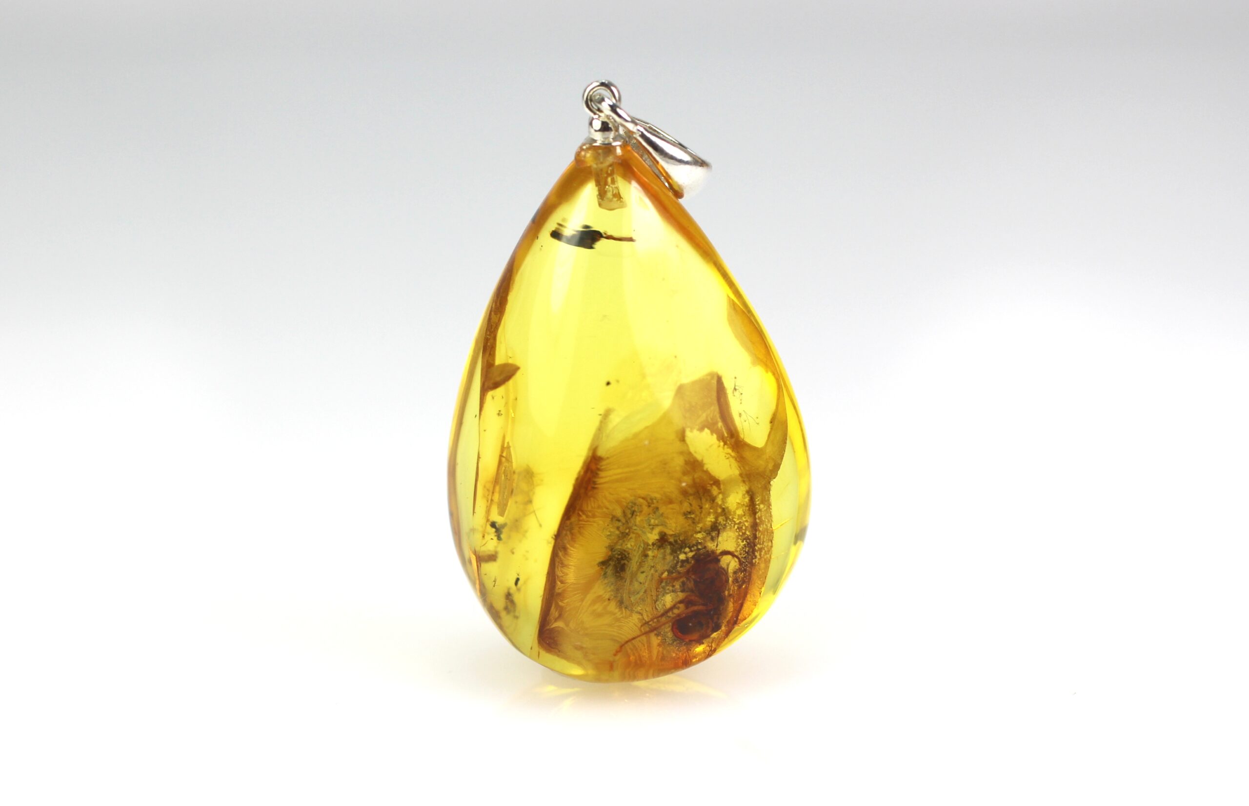 IMG_1325 Gintarinis pakabukas su inkliuzu