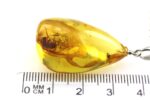 Gintarinis pakabukas su didelės skruzdės inkliuzu - Image 9