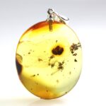 Gintarinis pakabukas su inkliuzu