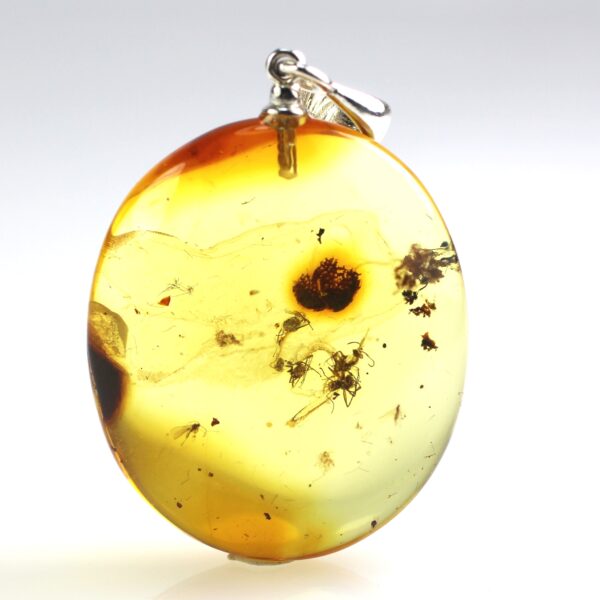Gintarinis pakabukas su inkliuzu