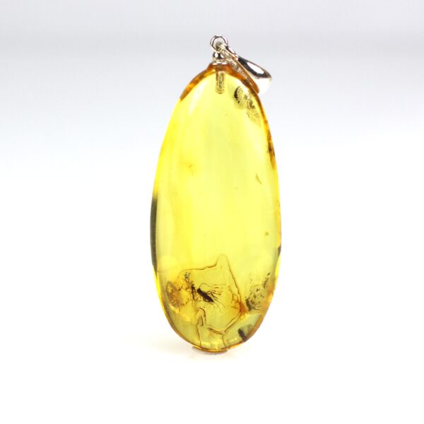 Gintarinis pakabukas su inkliuzu