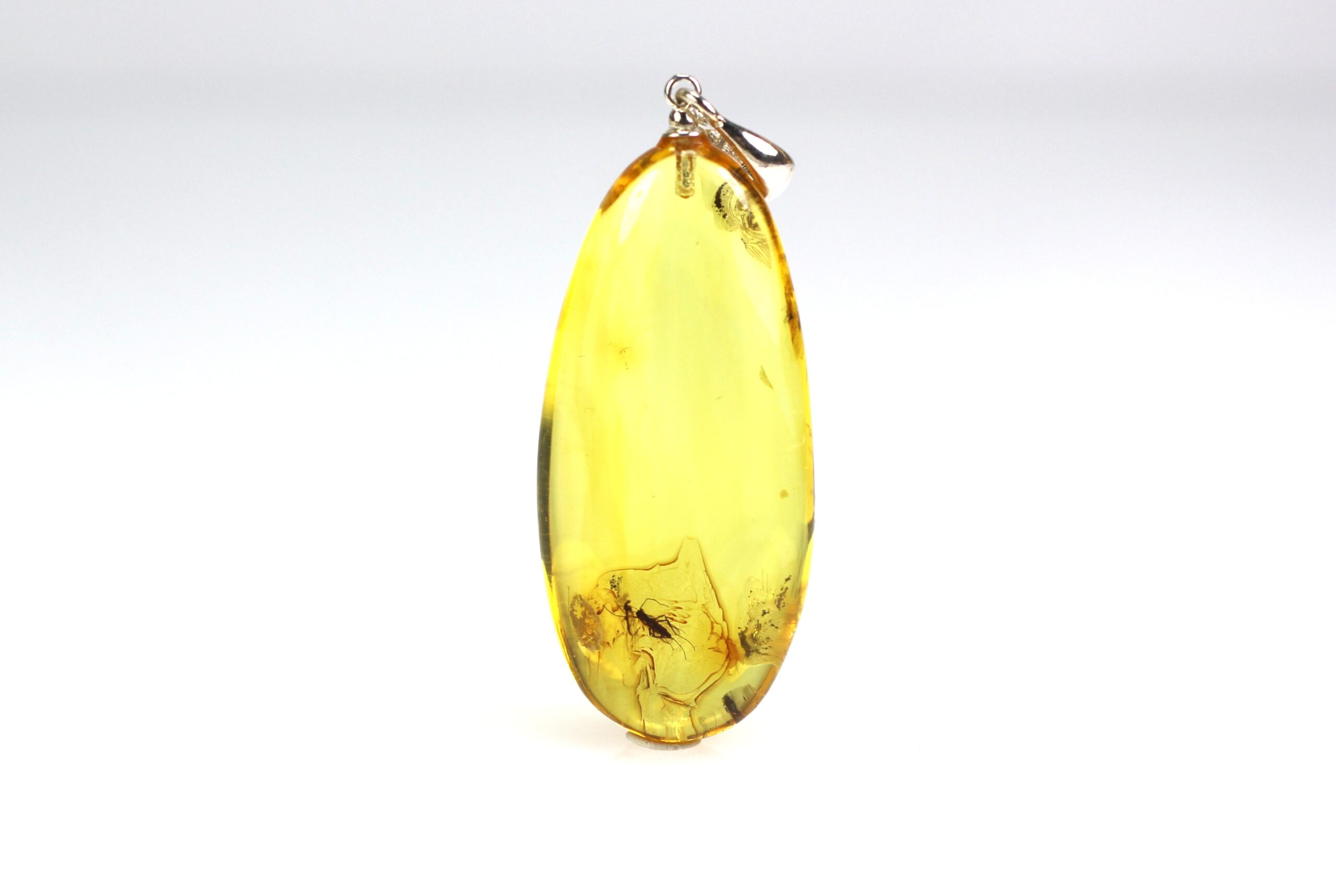 IMG_1352 Gintarinis pakabukas su inkliuzu