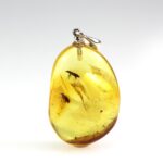 Gintarinis pakabukas su inkliuzais