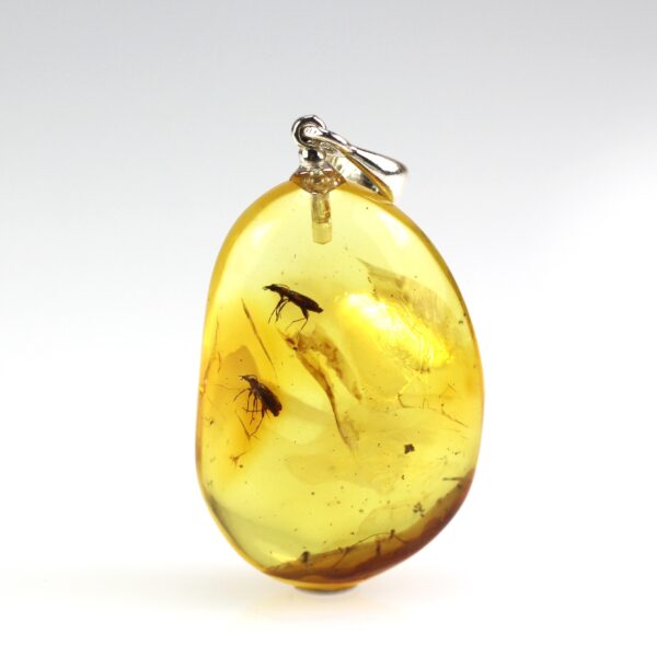 Gintarinis pakabukas su inkliuzais