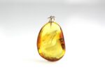 Gintarinis pakabukas su dviejų vabalų spragšių inkliuzu - Image 6