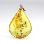 Gintarinis pakabukas su inkliuzu