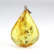 Gintarinis pakabukas su inkliuzu