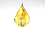 Amber pendant with small FLY insect inclusion - Image 4