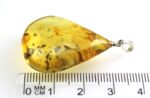 Amber pendant with small FLY insect inclusion - Image 5