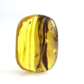 Gintaras su inkliuzu