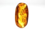 Baltic amber stone with few inclusions - Image 10