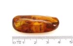 Baltic amber stone with few inclusions - Image 11