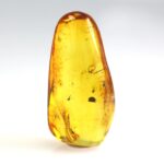 Gintaras su inkliuzais