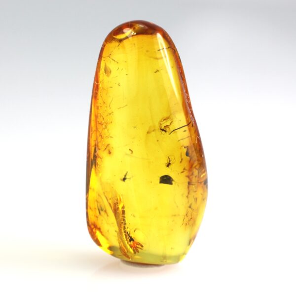 Gintaras su inkliuzais