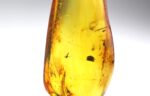 Baltic amber stone with few inclusions - Image 13