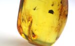 Baltic amber stone with few inclusions - Image 10