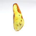 Gintaras su inkliuzais