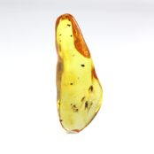 Gintaras su inkliuzais