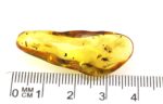 Baltic amber stone with few inclusions - Image 11