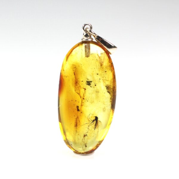 Gintarinis pakabukas su inkliuzu