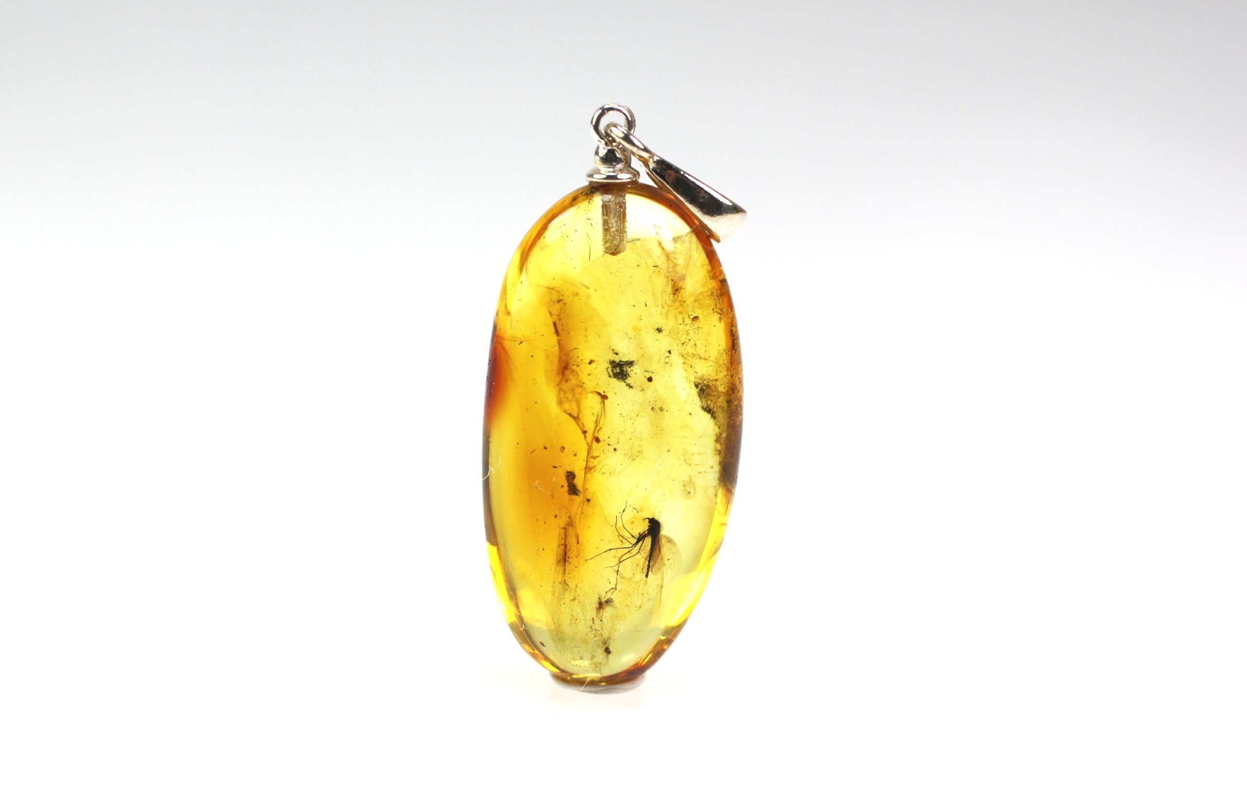 IMG_1473 Gintarinis pakabukas su inkliuzu