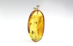Amber pendant with large MOSQUITO inclusion - Image 4